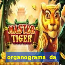 organograma da cacau show